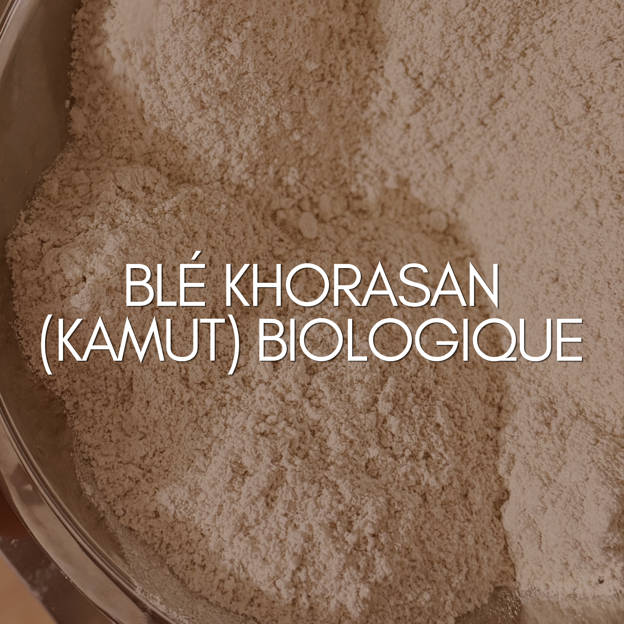 Farine intégrale de blé Khorasan (kamut) biologique