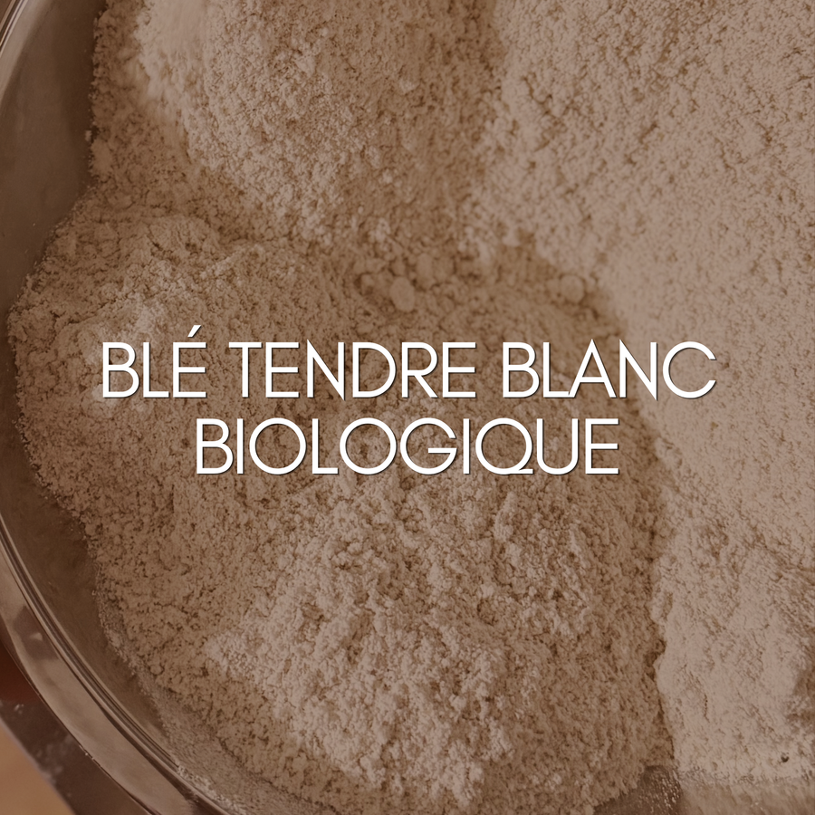Farine intégrale de blé tendre blanc biologique